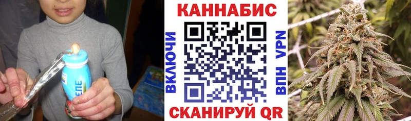 Шишки марихуана VHQ  Сальск 